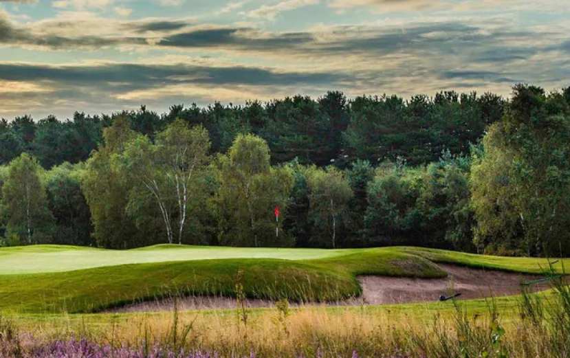A green and bunker at Sherwood Forest Golf Club, surrounded by heather and woodland beneath an evening sky.