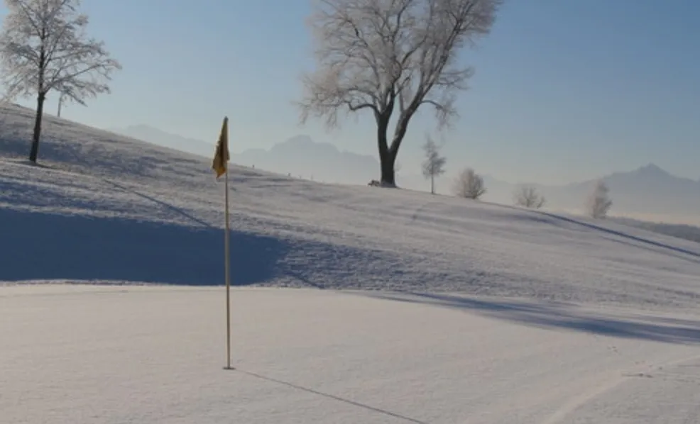 A frost-covered putting green and flag, with bare trees in a misty winter landscape.